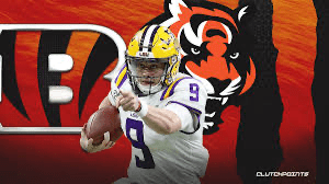 A picture containing drawing, table, cake, stuffed

Description automatically generated